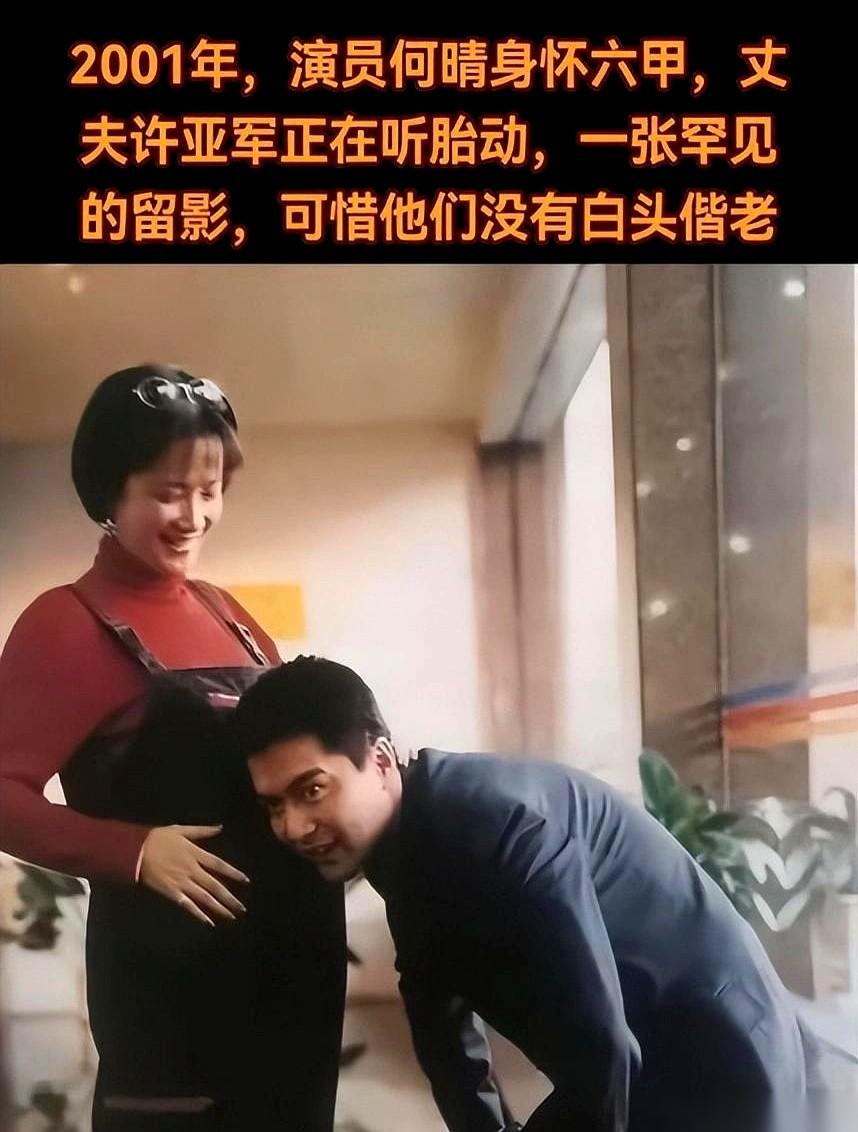 那个被老戏骨廖京生用轮椅推着的人，你敢信吗，是何晴。就是那个，唯一一个演遍了四