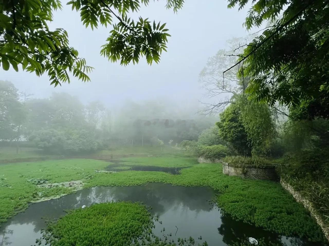 热门板块！1，人工智能DS2，人形机器人3，阿里云产业链4，半导体芯片