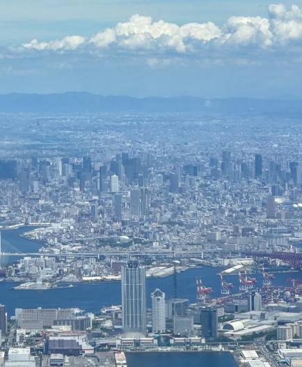 真是笑掉大牙！无视劝告赴日的人，换来一顿狠揍还伤得不轻，属实亏大了！最近，有