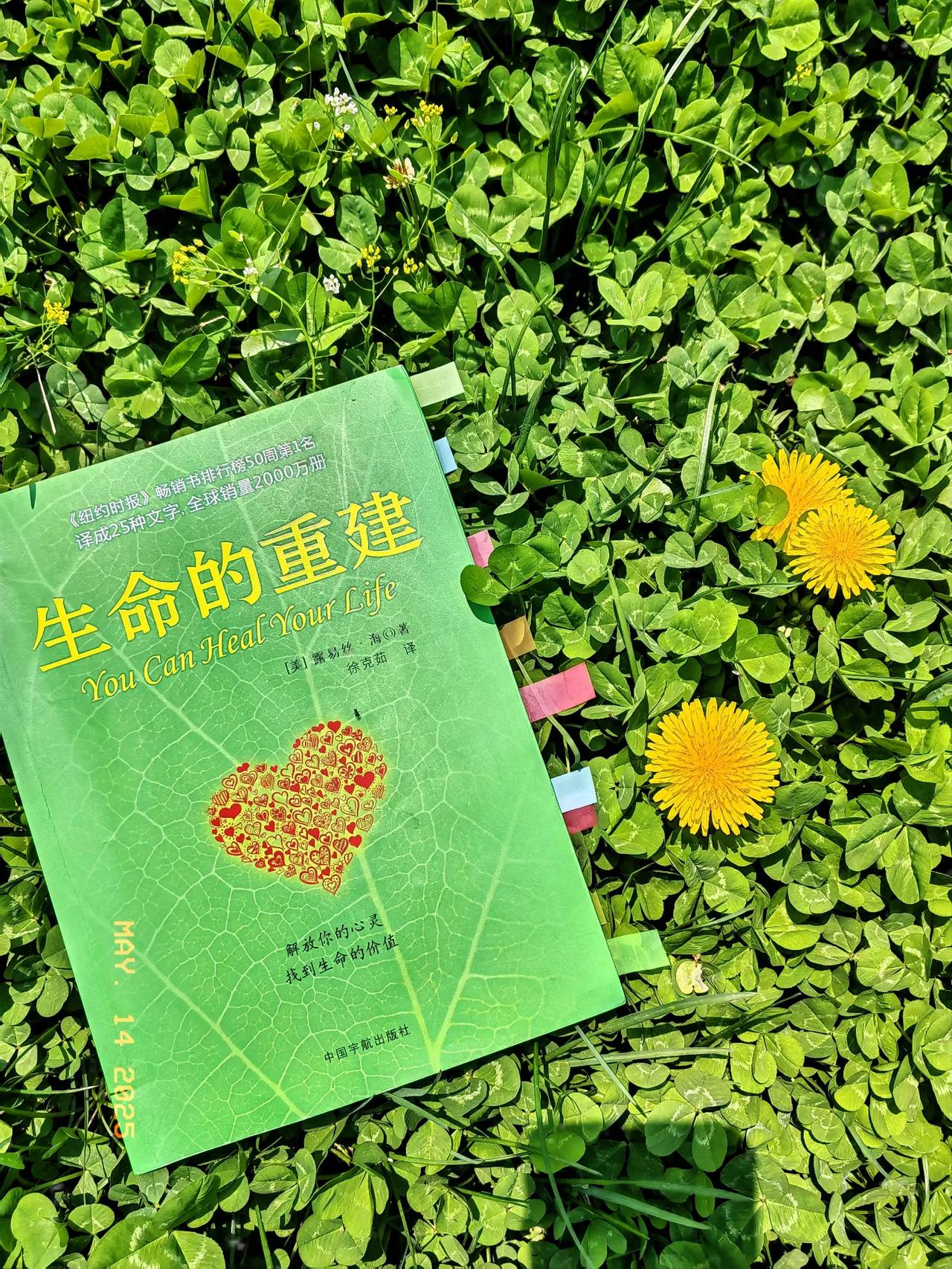 在心里种花，人生才不会荒芜。接受自己的一切，接受自己所有的状态，在任何状态下，都