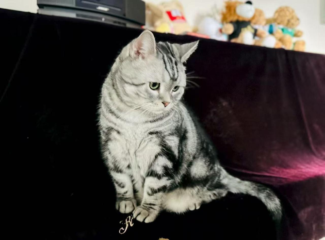 不知道有没有姐妹和我一样，人到中年，和老公的关系早就从情侣熬成了“合租室友”，早