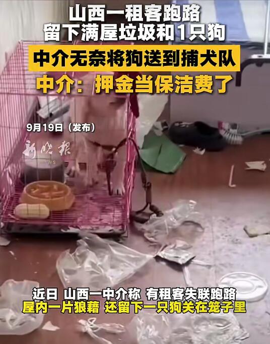 【山西太原一租客失联跑路，留下满屋垃圾和一只狗】近日，山西太原中介康先生称，有租客失联跑路，屋内一片
