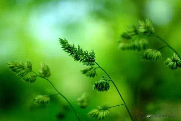 有一次，初中同学刘女士请我们几个老同学吃饭。席间，她直言不讳地对我们说:“当初，