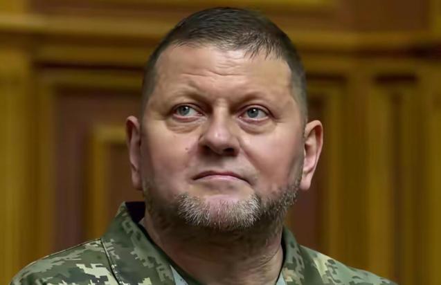 仗打完了，事就完了？乌克兰前总司令扎卢日内最近发出警告：等俄乌冲突一结束，乌克兰