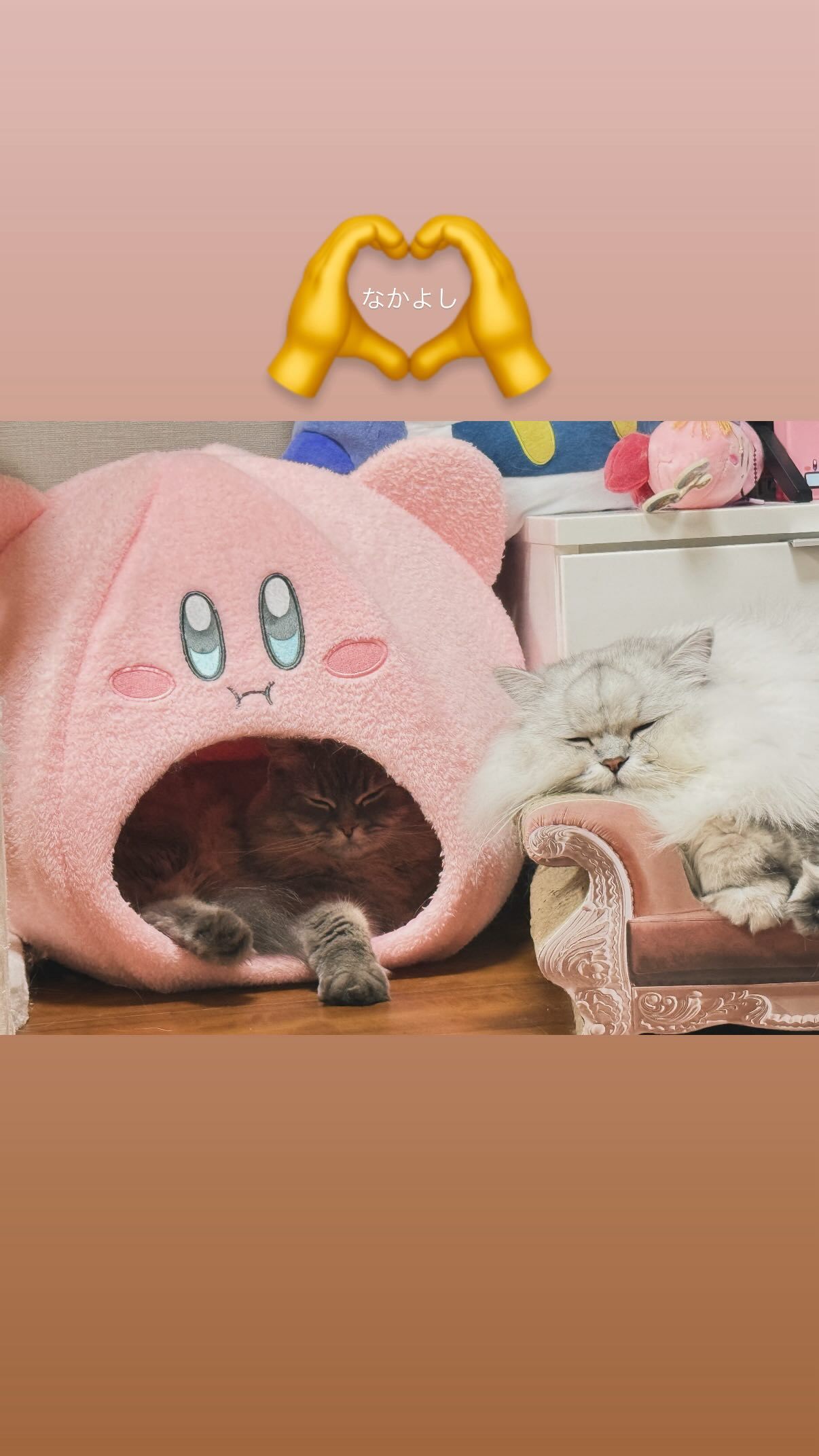 吉田綾乃クリスティー​​​