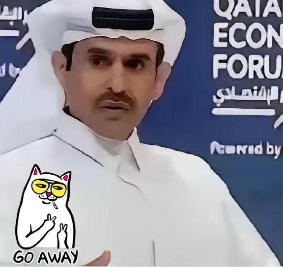 卡塔尔正式宣布暂停跟中国的合同，而且短时间内不会恢复，也就是说现在卡塔尔不给中国