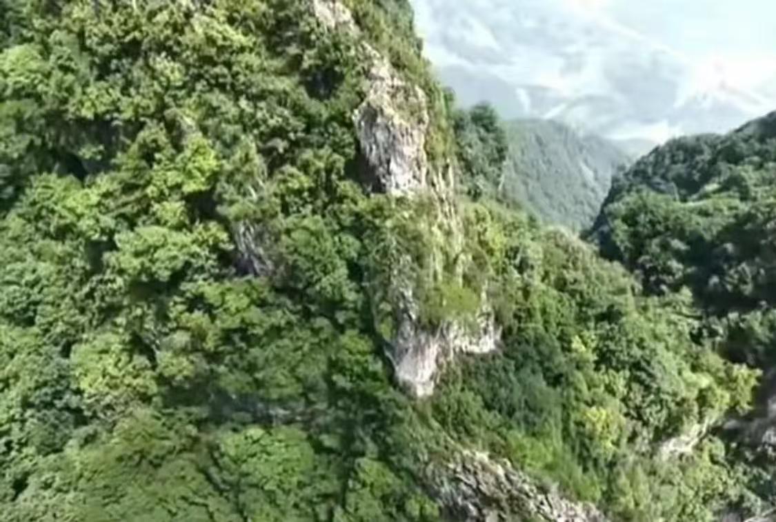她本可以走得安稳些。在张良庙山门右拐，绕进那片林间土路，避开瘦驴背，松松快快上到