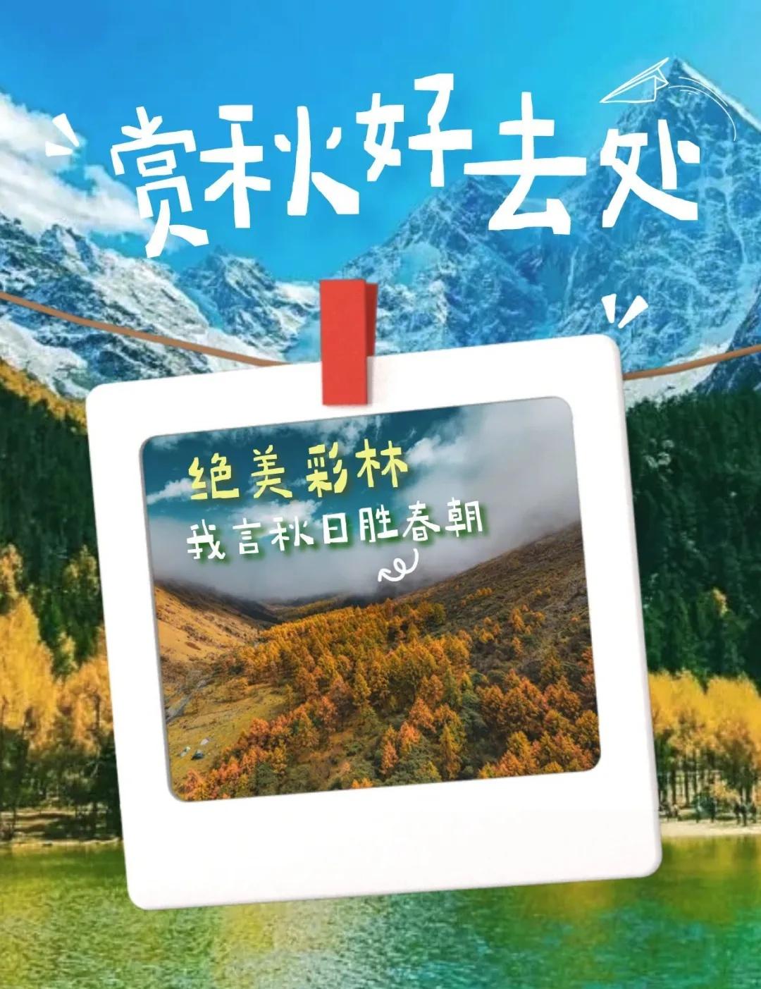 大鹅推荐☞看秋日彩林的好去处✔瓦屋山★★★★区域：眉山市洪雅县[墨镜]车程