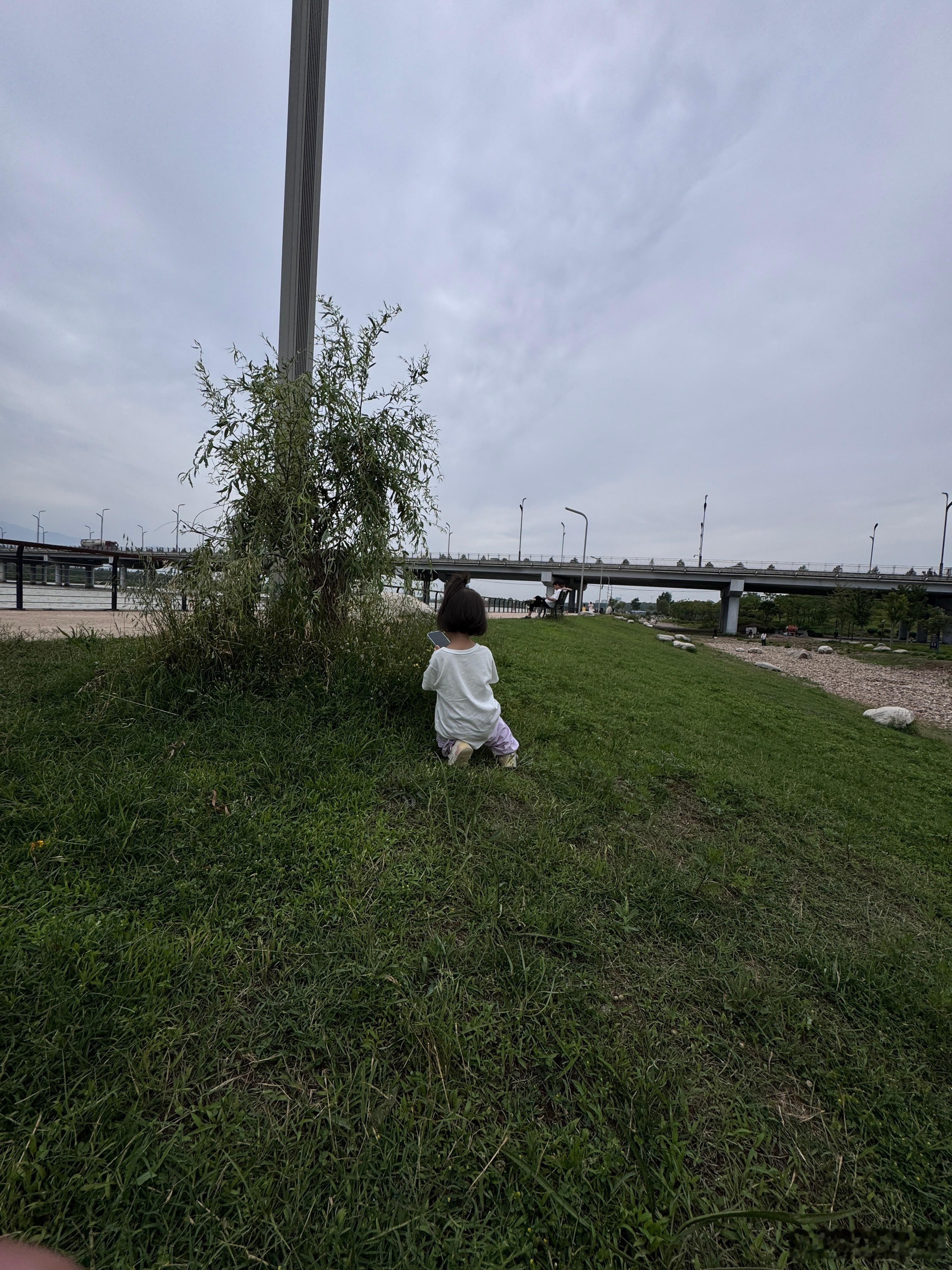 小小摄影师为了一朵花跪下来拍​​​