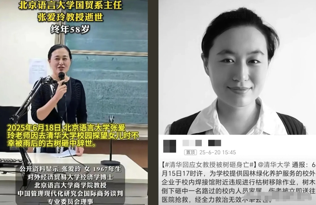真没有想到！58岁的女教授，再去清华的路上被古树砸中，不幸去世！原来事发当天