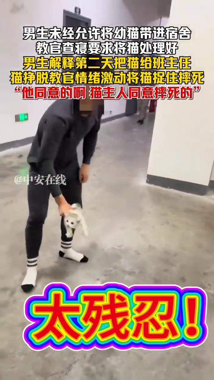 男生未经允许将幼猫带进宿舍，教官查寝要求将猫处理好。男生解释第二天把猫给班主任，