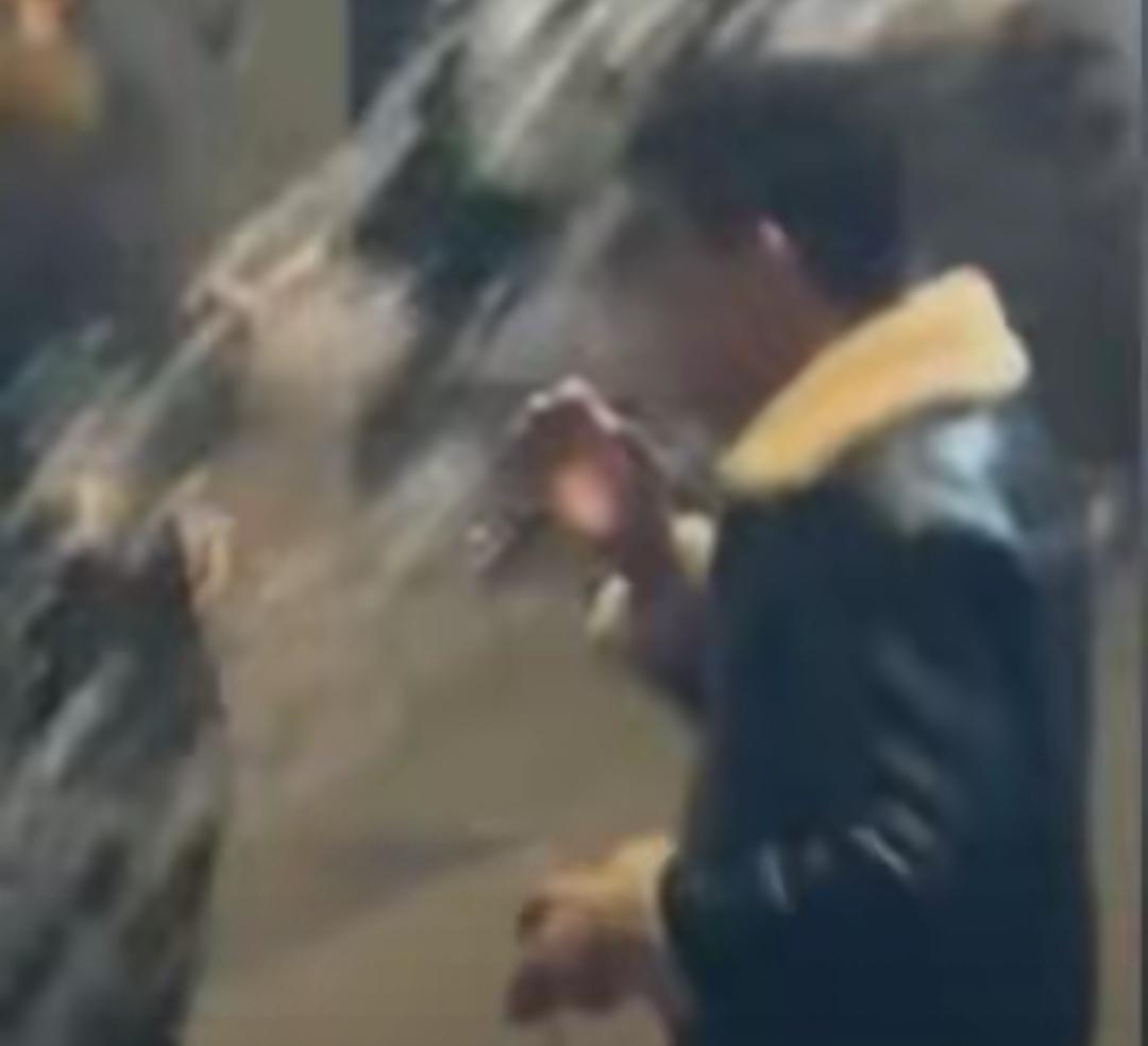 这新闻看得人真爽！大连海洋馆里那男的，抽烟还装大爷，工作人员劝都当耳边风，结果白