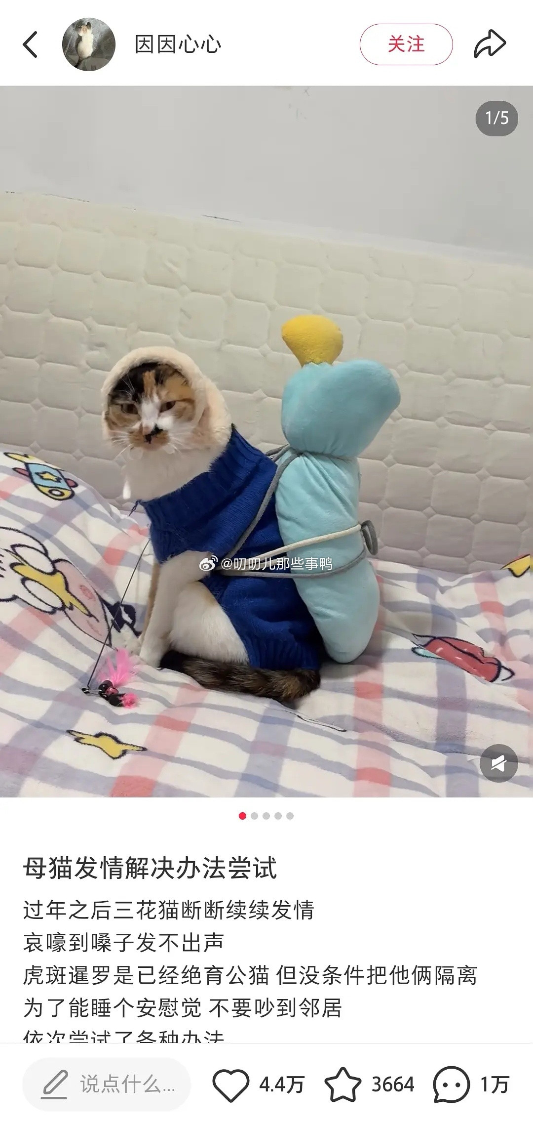 主人真是一个小天才啊～😂😂