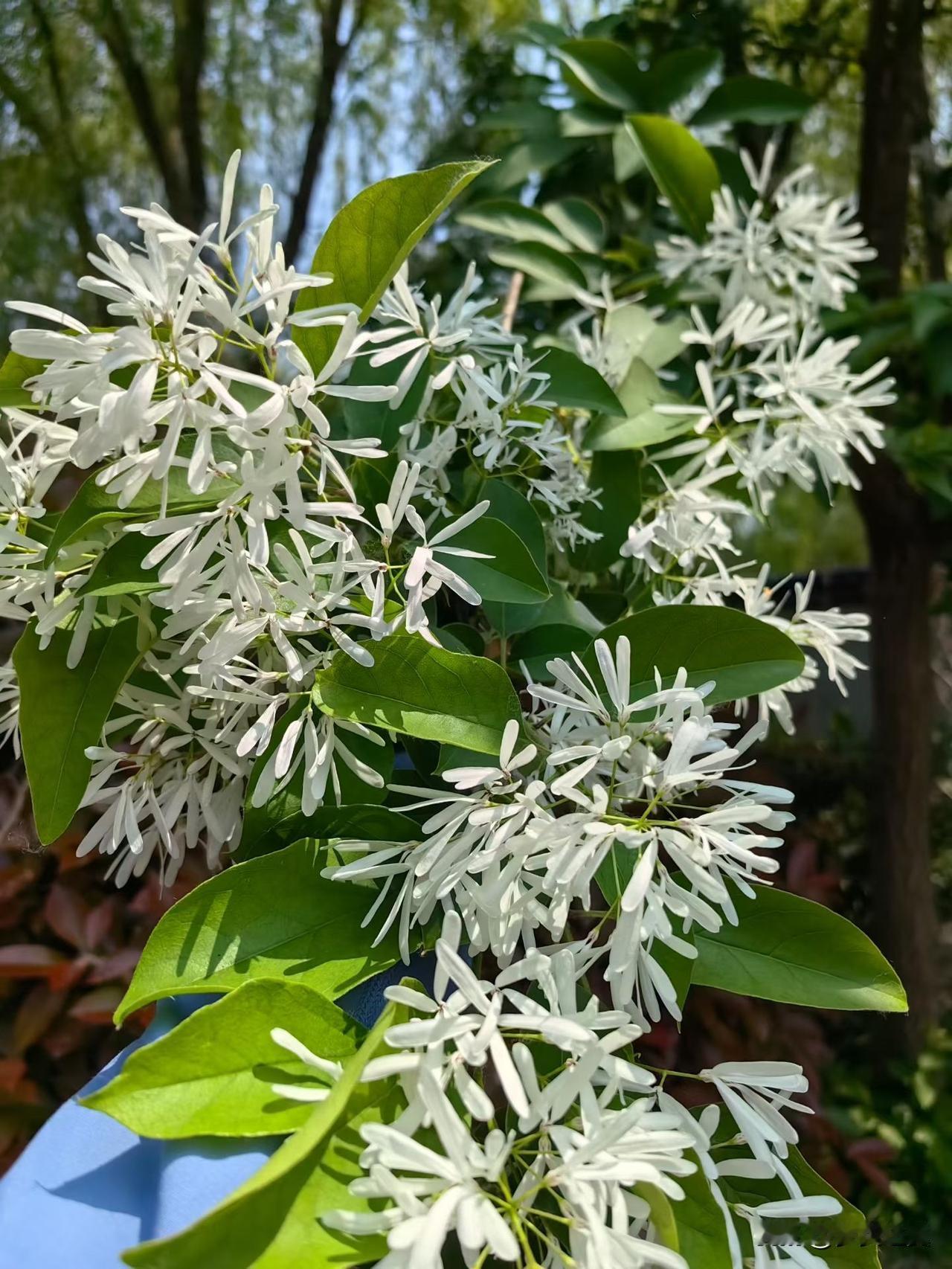 【小对联】上：……？下：世界观。