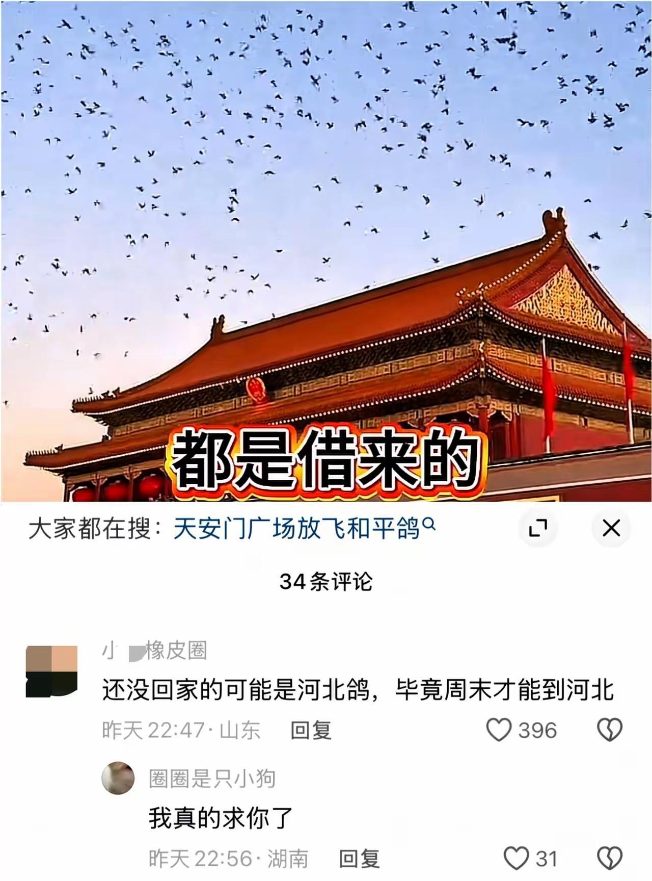 #中国和平鸽#天安门放飞的8万只鸽子就像是观礼席位受邀请的各界英雄楷模一样，来