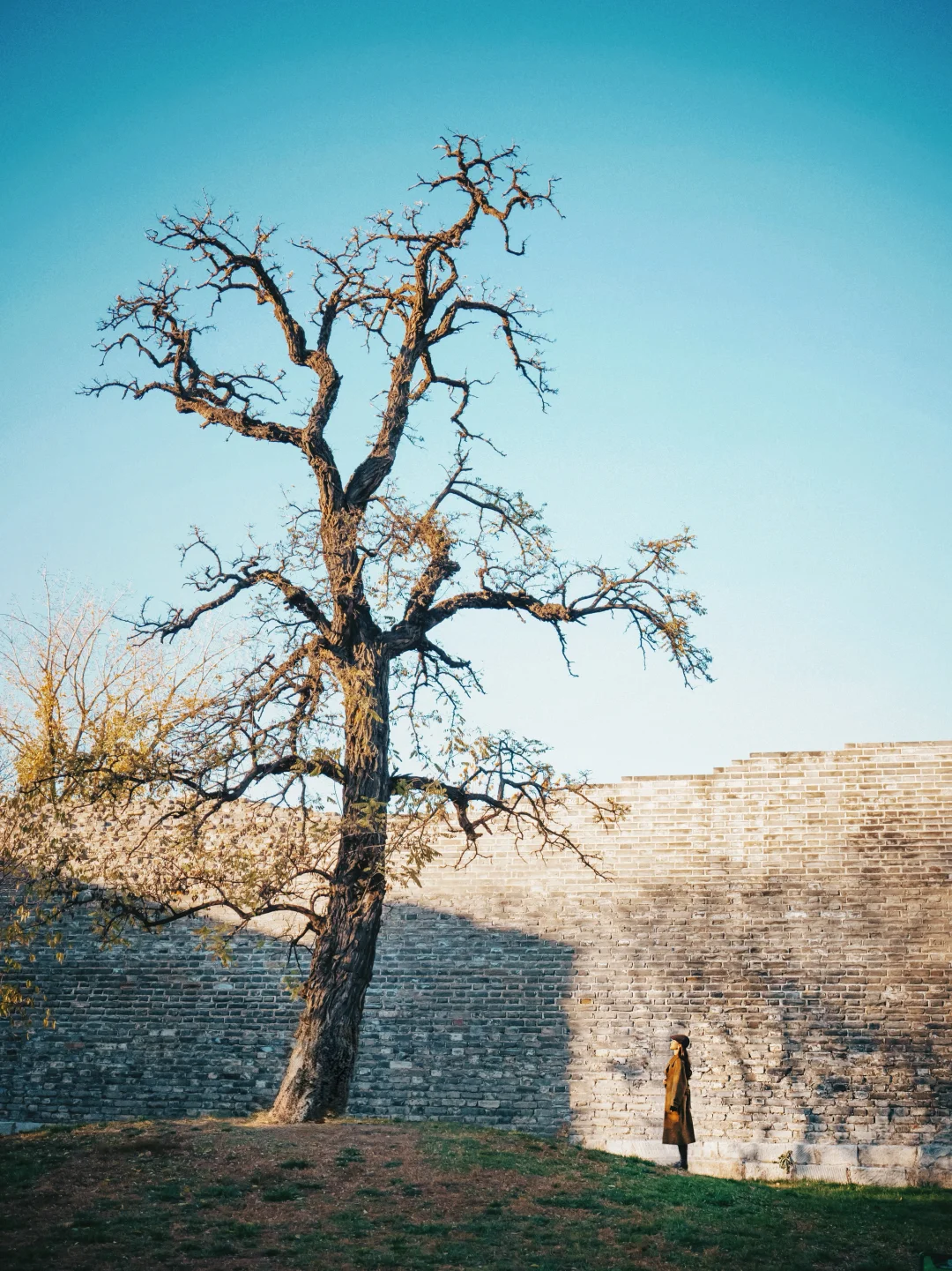 所有告别，都是柔软的重生