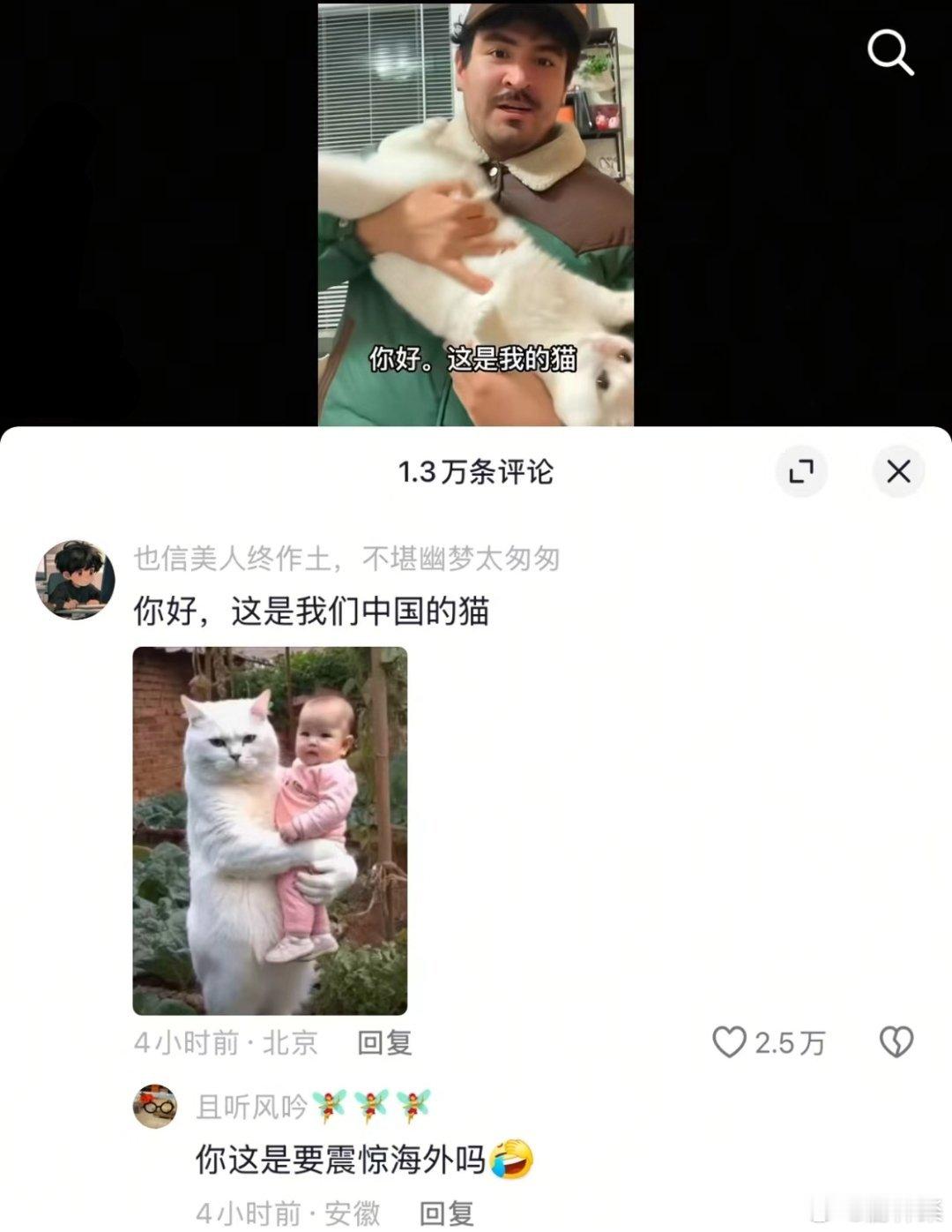 你好，这是我们中国的“猫”[捂脸哭]