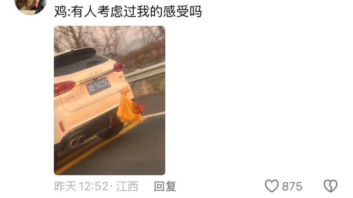 🚗：只要轱辘还能转，就得回家过年😠