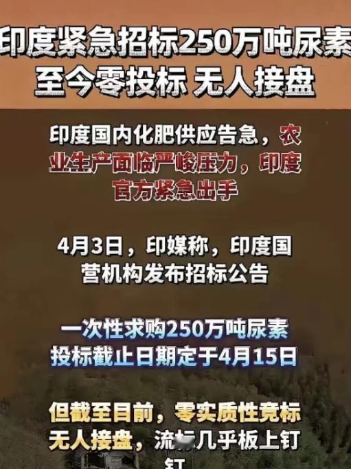 简直笑不活了！印度面向全球招标250万吨尿素，到头来愣是一份标书都没收到。不