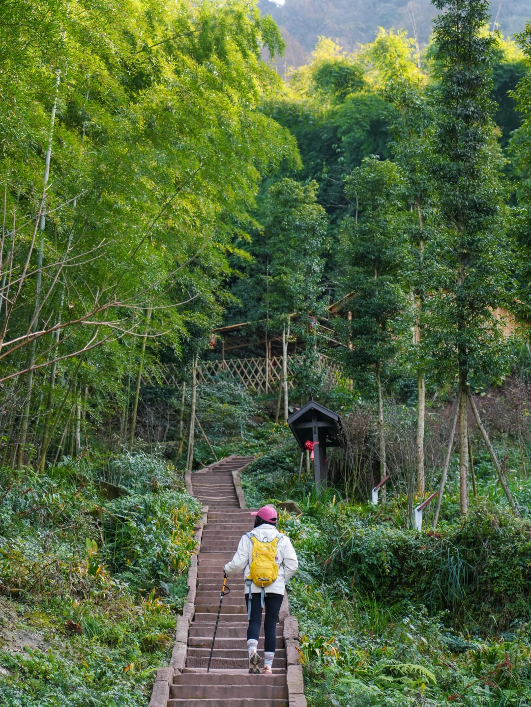 新发现❗️这条茶马古道徒步路线野趣十足！