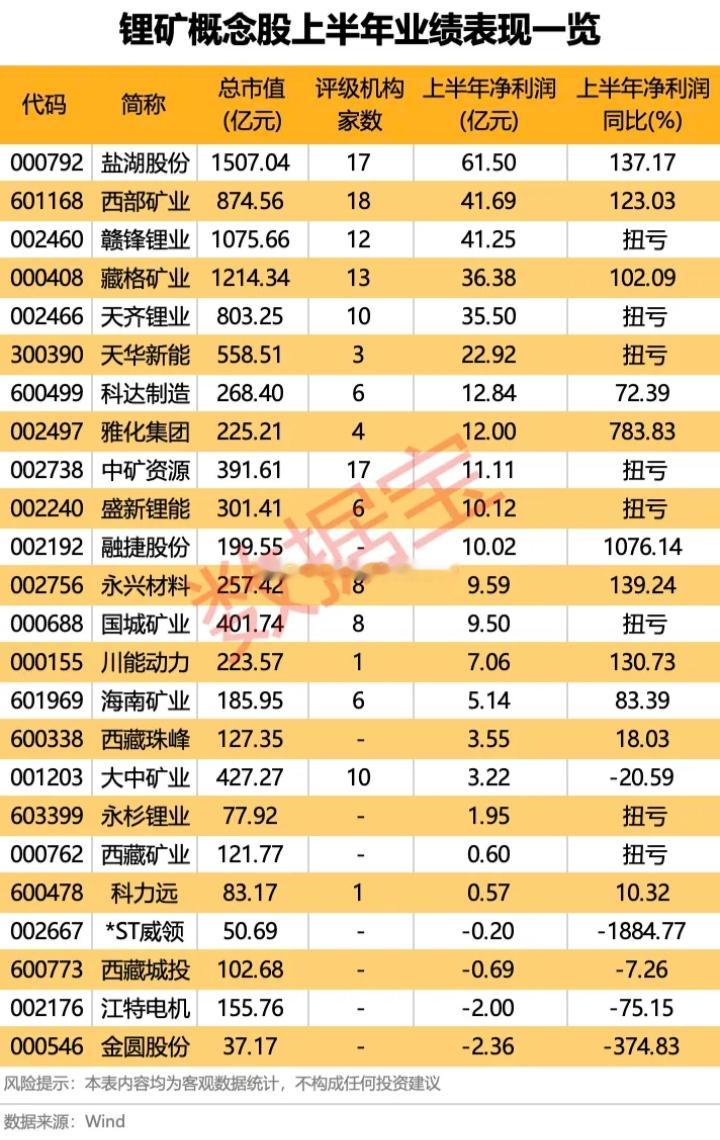 锂矿概念股上半年业绩表现一览000792盐湖股份，总市值1507.04亿元