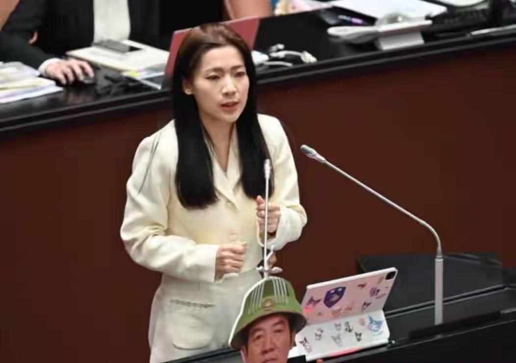 赖清德弹劾案乱局：3人挺台背后，民进党噤声的猫腻谁看不懂2026年1月的台