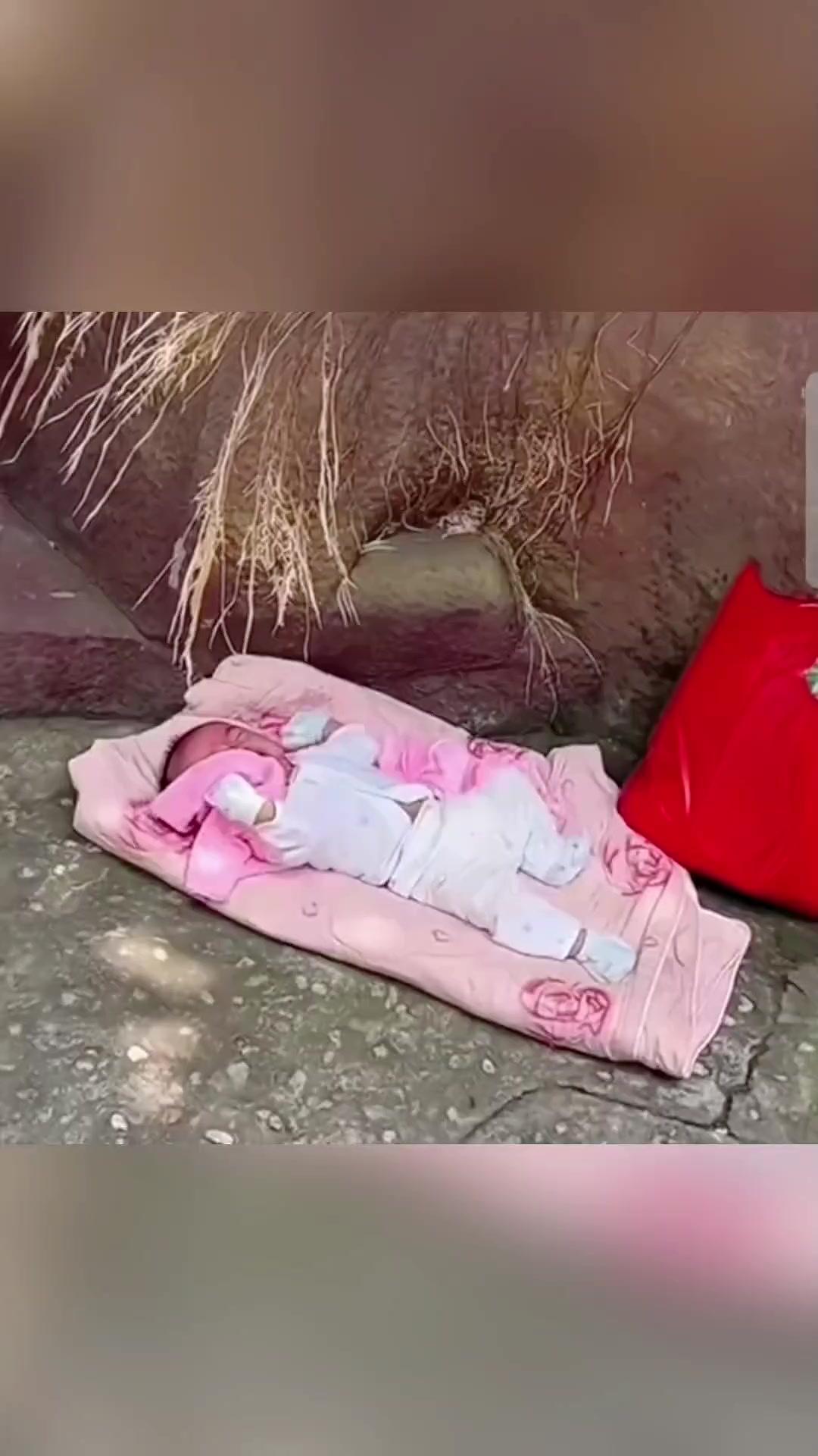 关于生孩子的灵异故事！20多年前，我们那里有一对夫妻结婚多年一直没有孩子，去各