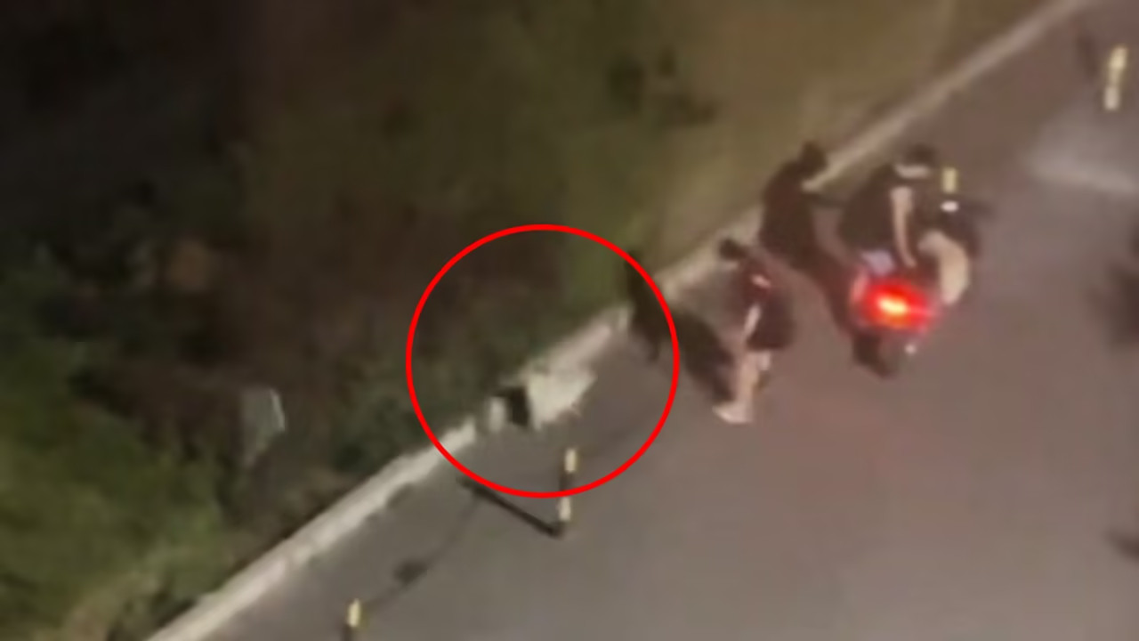 小狗遭主人2次扔弃哀嚎仍被丢好可怜的小狗啊。。看着白白净净为什么要丢呢？不想养
