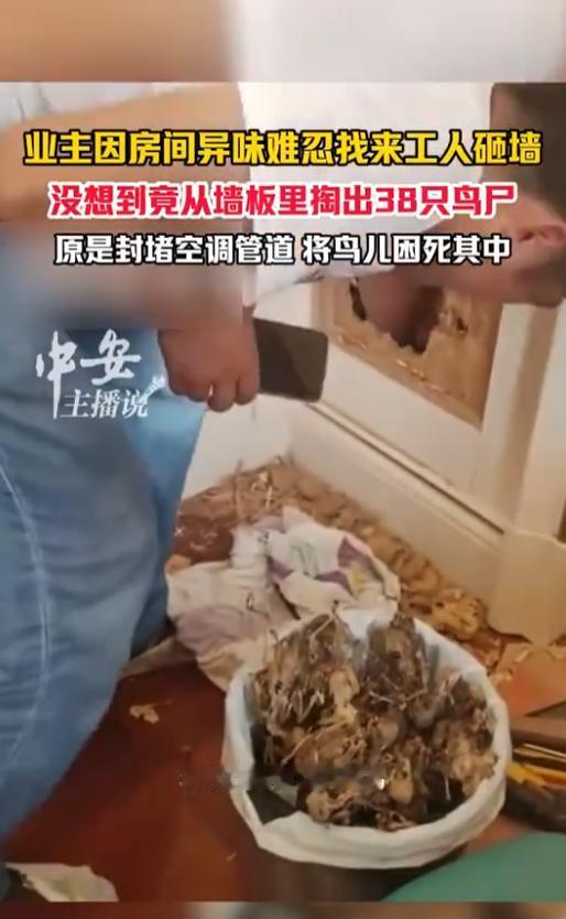 真是惨不忍睹！湖北黄冈，一户空置新房频频传出诡异异响，屋内弥漫着日渐浓烈的腐臭，