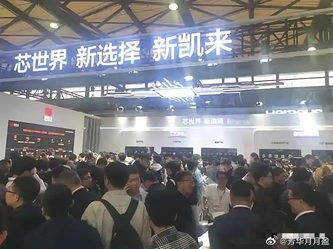 大A着实不给新凯来面子。众人皆称，即将于10月15日在“2025湾区半导体芯片展