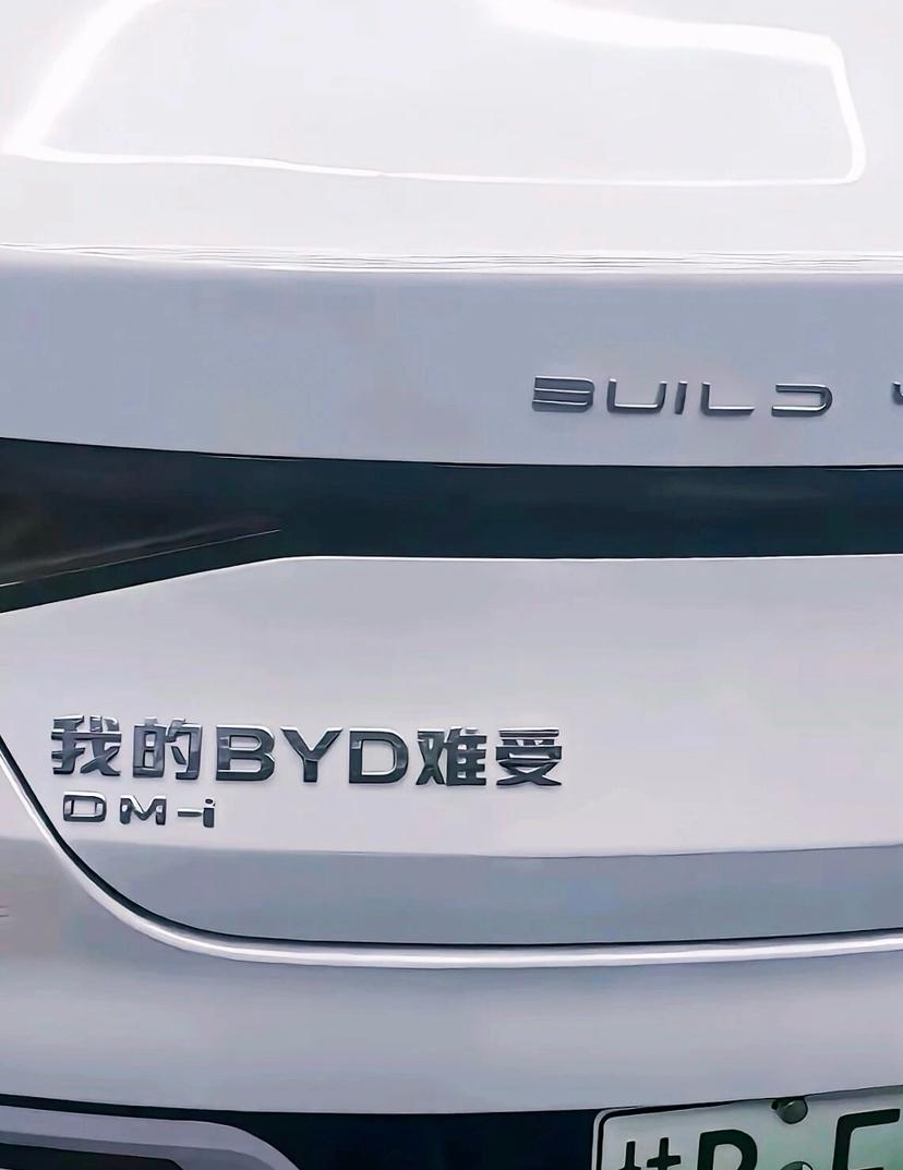 这个车贴怎么样，你喜欢吗？