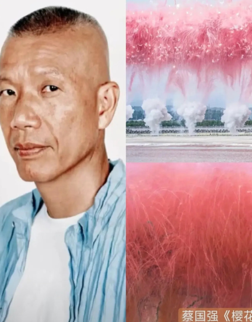 蔡国强、始祖鸟烟花秀处置出来了，官方查的清清楚楚，说的明明白白，始祖鸟作为活动赞