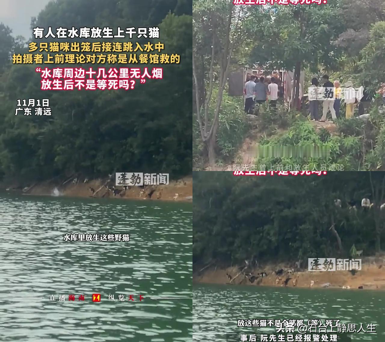 见过离谱的放生，没见过这么缺德的！广东清远迎嘴水库，有人拉了几卡车从餐馆