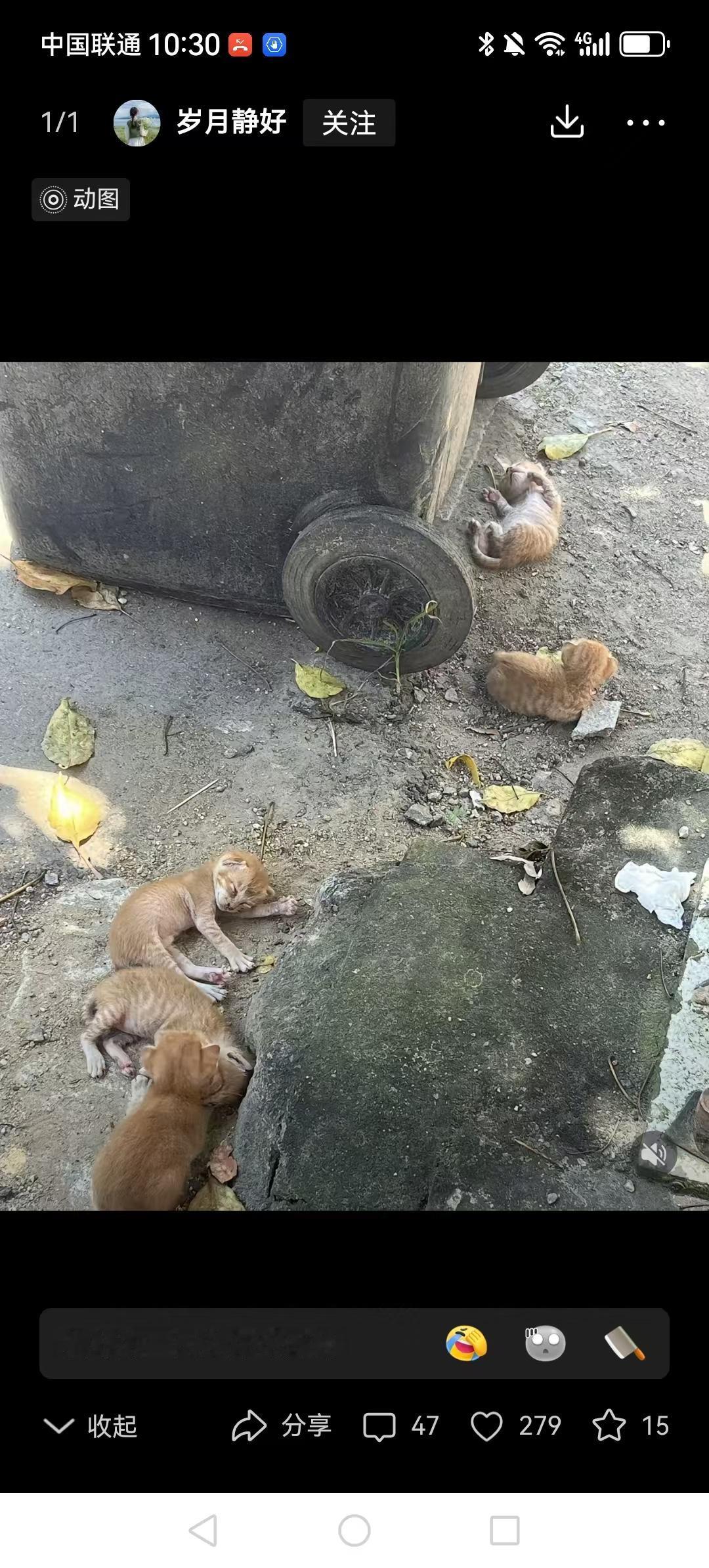 出门看到这一幕，好心寒。我前阵子刚收了四只，现在应该两个月大啦，以后就在车库里生