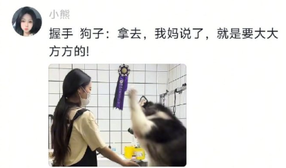 宠物行业最怕爱上客户​​​