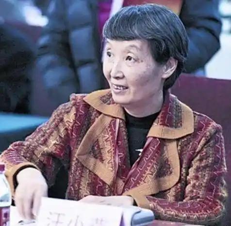 毛主席的忠诚卫士汪东兴说他一辈子，好像只做了一件事。汪东兴的女儿汪小燕回忆父