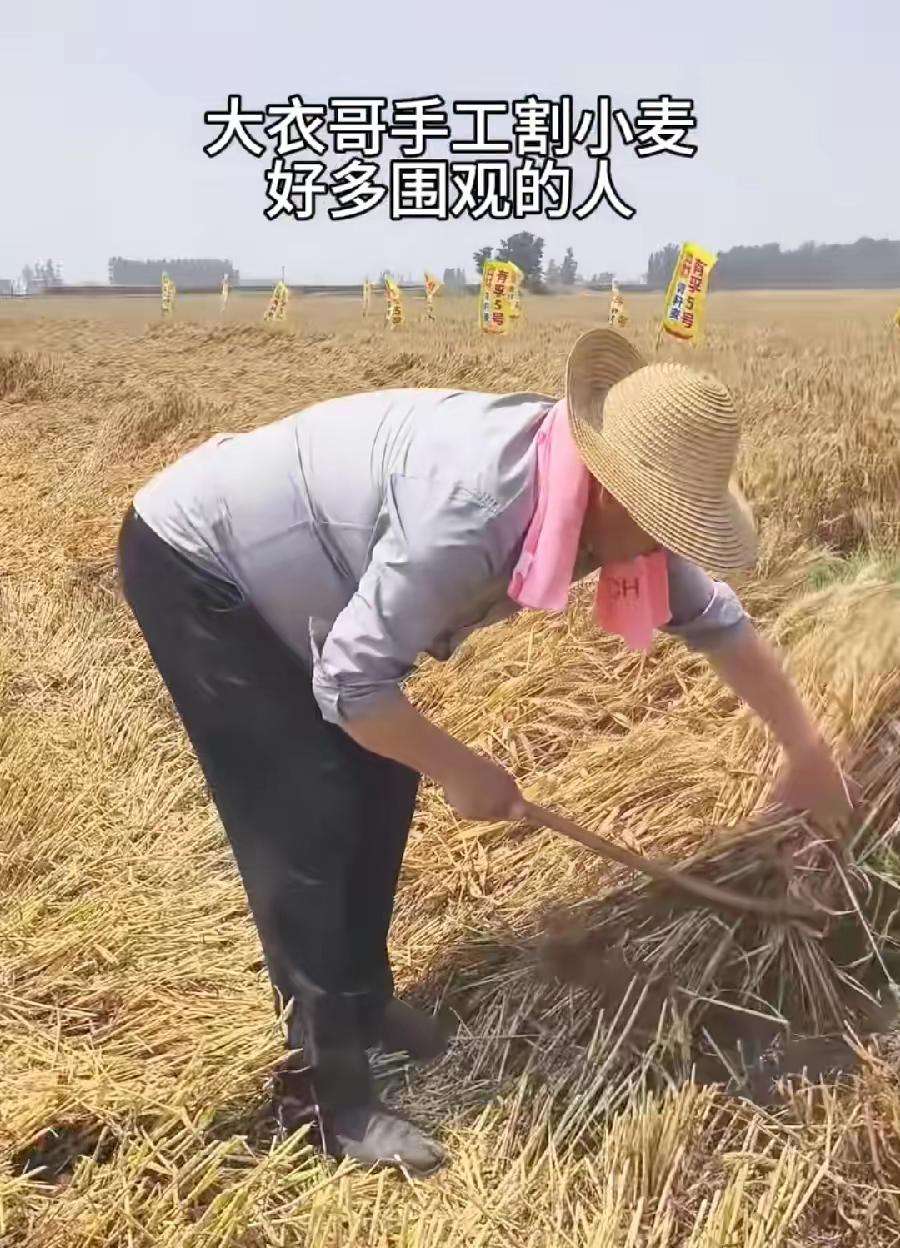 大衣哥真实生活，其他人都是为了流量