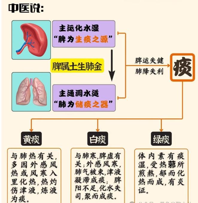 毁脾胃“第一名”，竟然是这类食物！孩子越吃体内痰湿越重，鼻炎、腺样体肥大越容易反