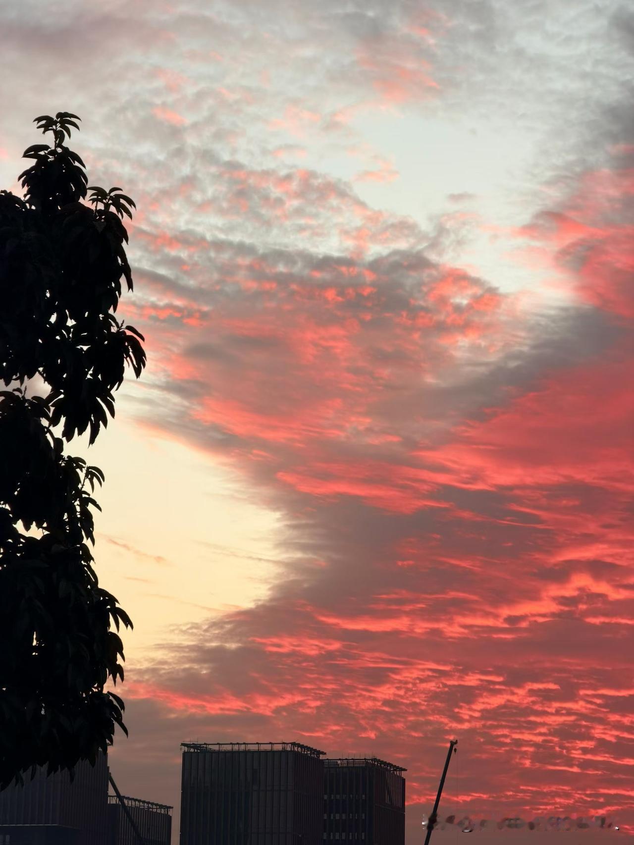 人这一辈子，笨点慢点真的不算啥！你可以笨，学东西比别人慢半拍，做事情总比别人