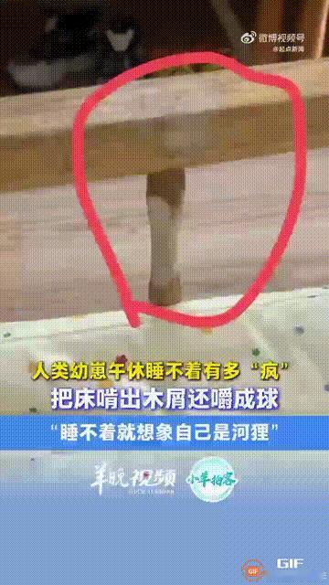 笑不活了！安徽合肥一个男孩上幼儿园时午休睡不着，于是就把自己想象成“河狸”，然后