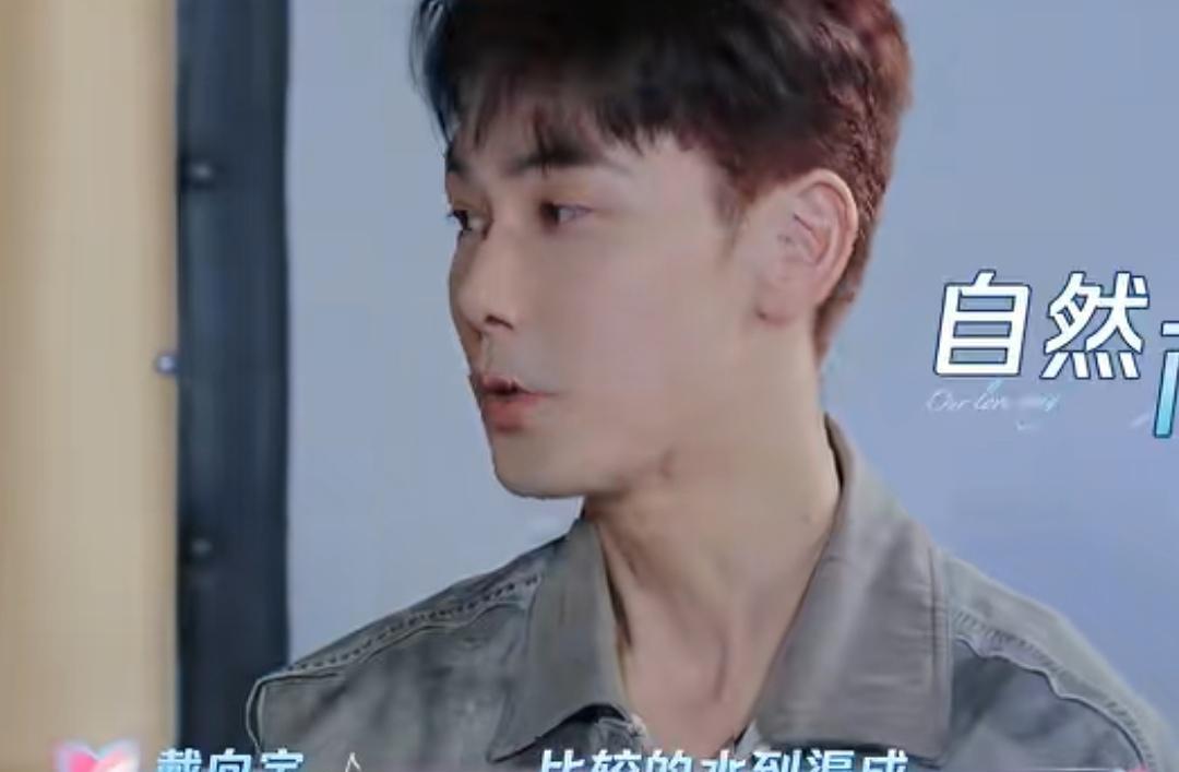 戴向宇因为陈紫函长得好看而喜欢她，陈紫函直呼戴向宇好肤浅，戴向宇：“很多东西都开