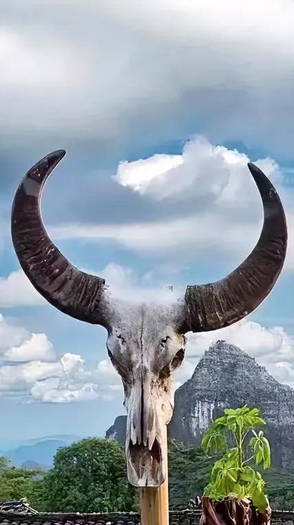 老家有个小学同学，幼时丧母，父亲一手拉扯大，性格顽劣，喜欢捉弄人。他叫阿磊