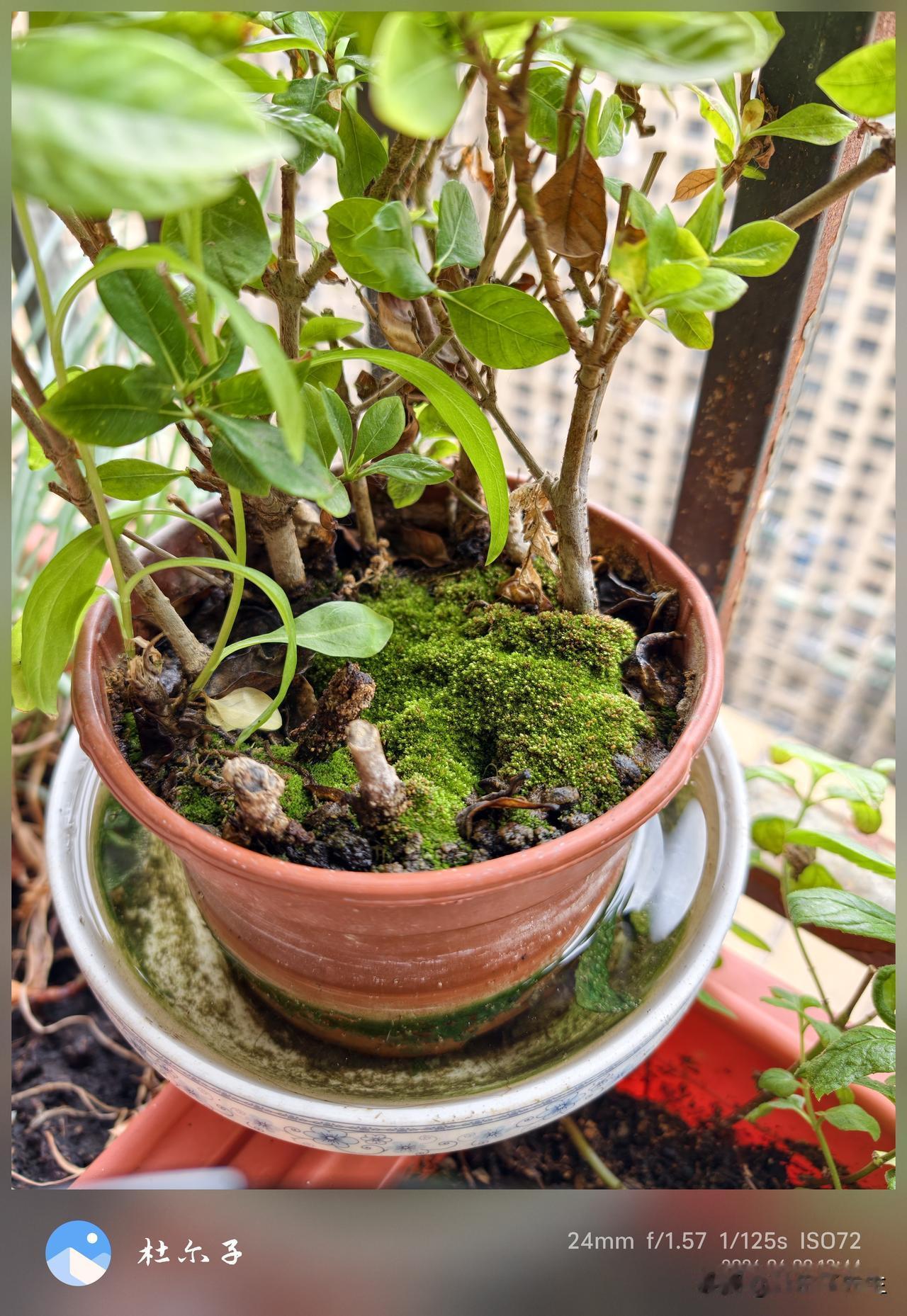 今年高考的数学考完，考生固然难受，但比考生更难受的是高中一线的数学老师这些天