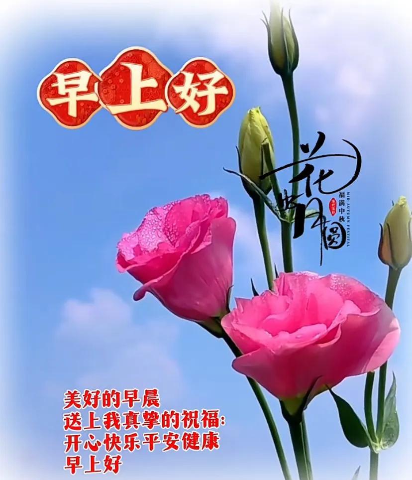 #感知初夏的凉爽##元气满满的夏日##过好愉快的夏天##初夏浪漫季#