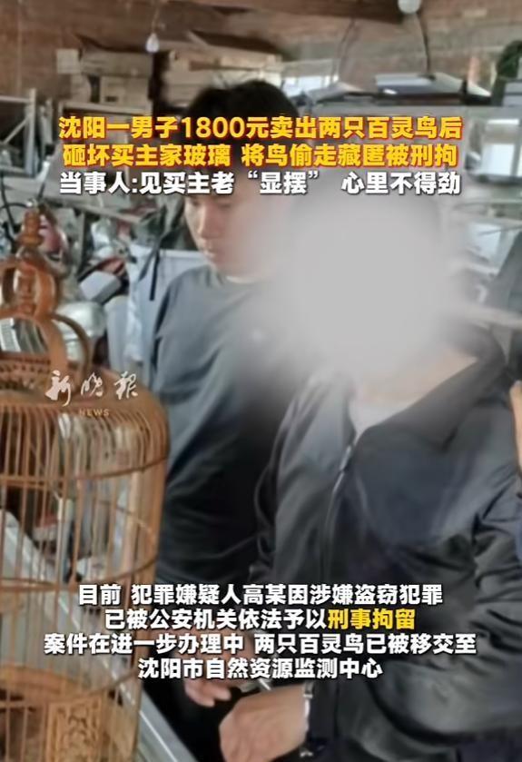 嫉妒使人面目全非！6月13日曝光，辽宁沈阳一大爷起来发现，自家玻璃被砸了，养了2