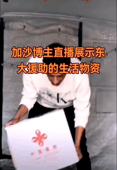 中国援加沙物资的真相我简直不敢相信我的眼睛！一个外国网红直播