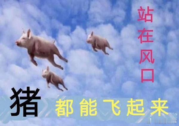 腾讯神秘AI项目曝光“赶上风口猪都能起飞”这话真的戳心！机遇从来都是留给有准备的