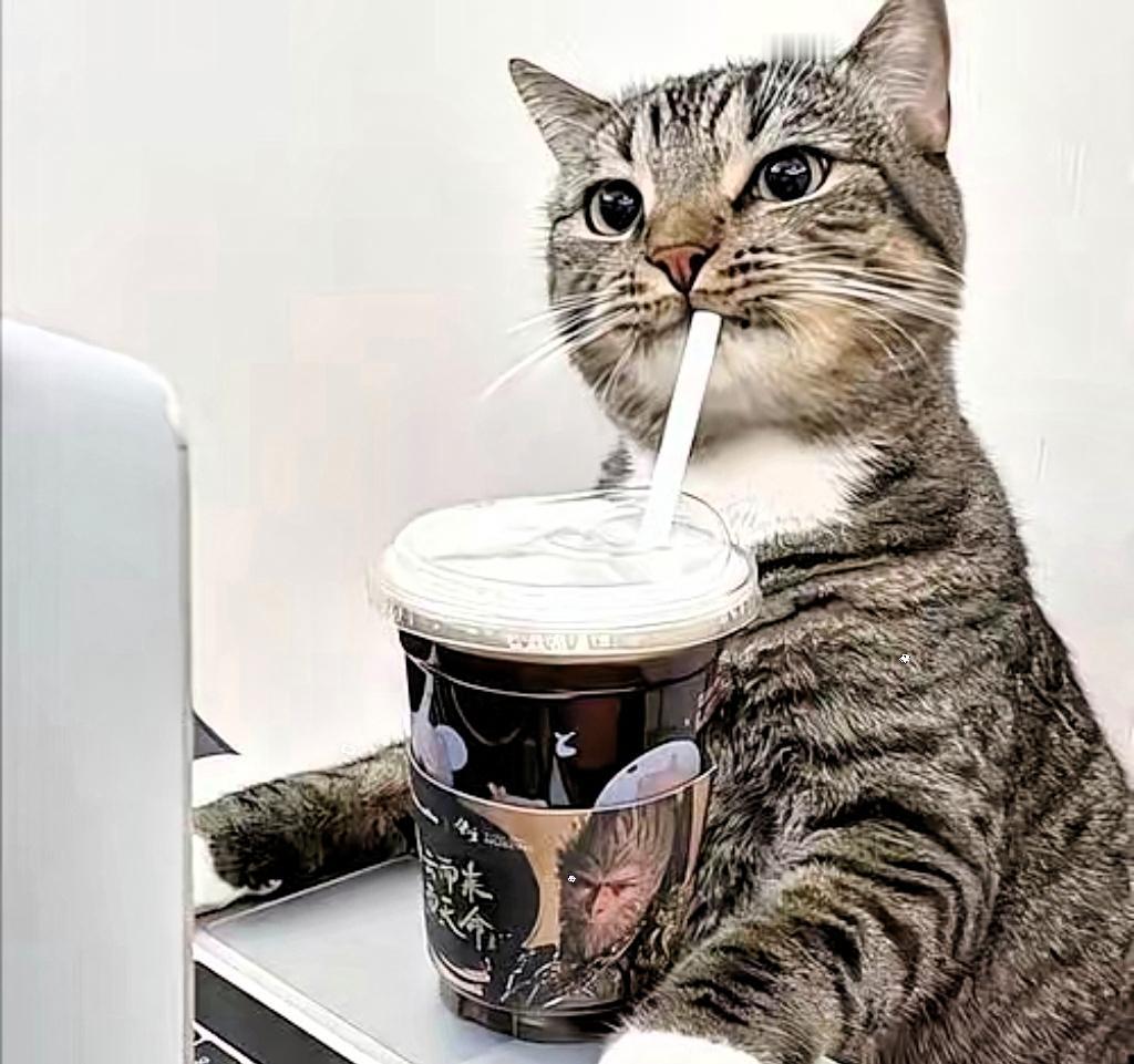 发现朋友的智商是真高​朋友住在三楼，四楼总有人往下泼脏水，有一次，他刚洗好的衣