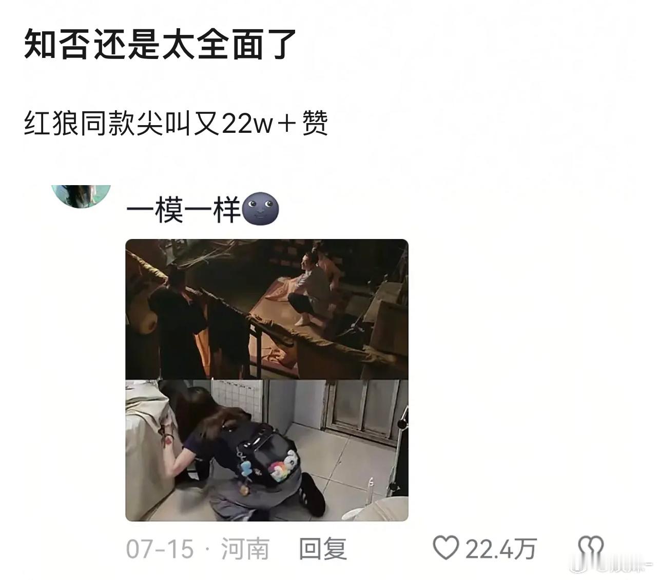 知否还是太全面了，这个博主回家天塌了自家猫跟别的猫在一起还生了一窝小猫哈哈哈哈