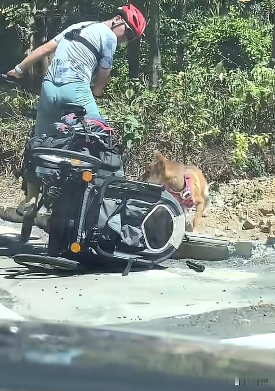 电动车后头还挂着一辆翻斗车，车上堆着些零碎破烂，还蹲着一条小狗。拐弯的瞬间车斗猛